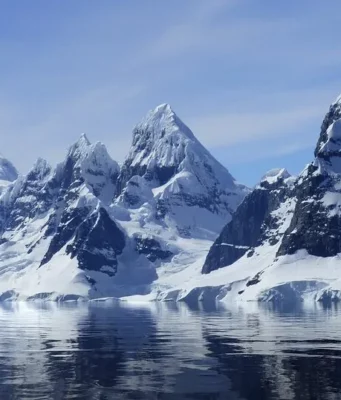 Вирусы с ледника: новое открытие биологов